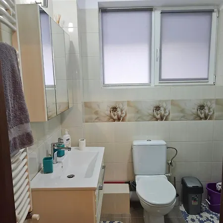 Apartment Casa Rasului *