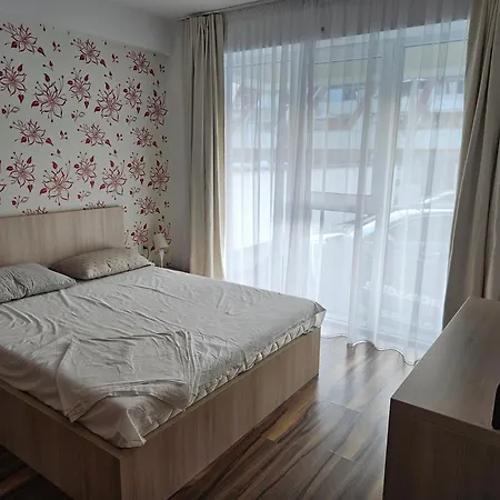Apartment Casa Rasului *
